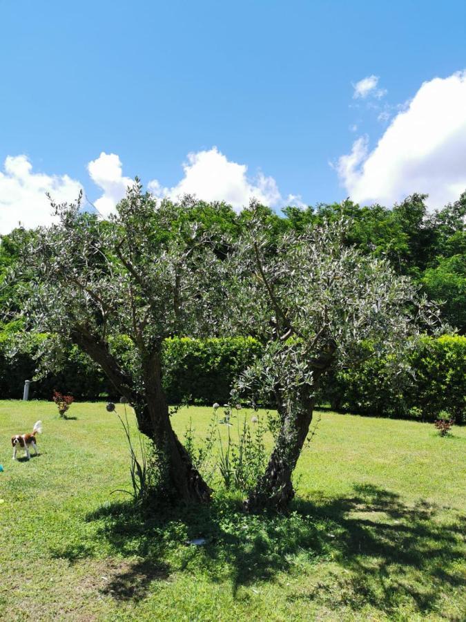 Villa Giulia Gragnola Exteriör bild